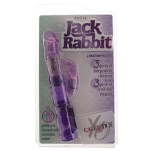 Load image into Gallery viewer, Petite Jack Rabbit Starter Vibe in Purple
